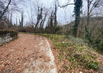 Giardino - Terreno agricolo Imbersago - foto 23