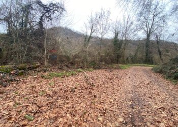 Vista delle montagne - Terreno agricolo Imbersago - foto 24