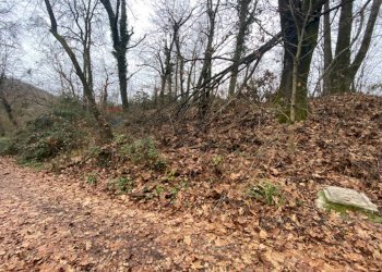 Giardino - Terreno agricolo Imbersago - foto 25