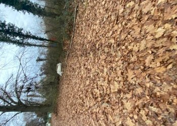 Non correlato - Terreno agricolo Imbersago - foto 26