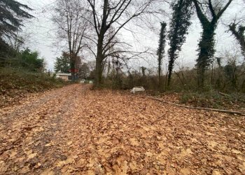 Giardino - Terreno agricolo Imbersago - foto 27