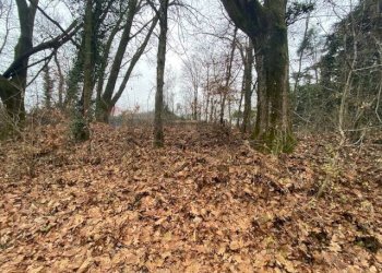 Giardino - Terreno agricolo Imbersago - foto 28