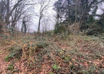 Giardino - Terreno agricolo Imbersago - foto 29