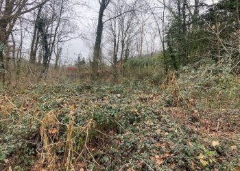 Giardino - Terreno agricolo Imbersago - foto 30