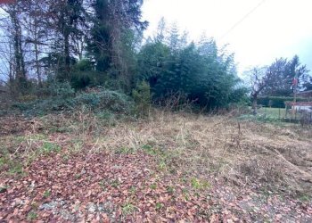 Giardino - Terreno agricolo Imbersago - foto 31