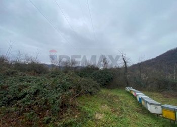 Giardino - Terreno agricolo Imbersago - foto 36