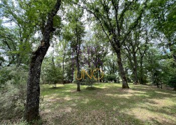 Foto 18 - Rustico via la pace, Bucine - foto 18