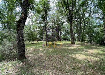 Foto 19 - Rustico via la pace, Bucine - foto 19