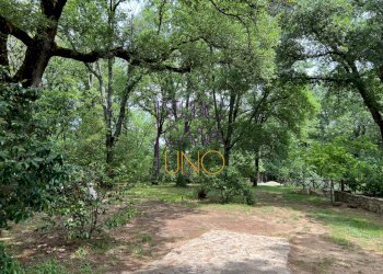 Foto 20 - Rustico via la pace, Bucine - foto 20