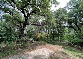 Foto 22 - Rustico via la pace, Bucine - foto 22