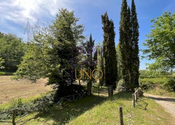 Foto 3 - Rustico via di moncioni, Montevarchi - foto 3