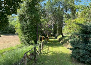 Foto 9 - Rustico via di moncioni, Montevarchi - foto 9