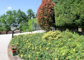 Giardino - Rustico Frazione Piticchio, Arcevia - foto 35