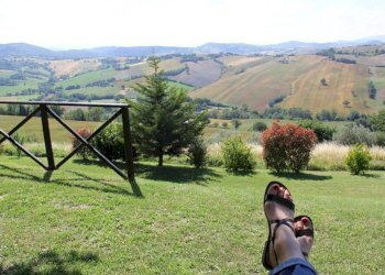 Terreno - Rustico Frazione Piticchio, Arcevia - foto 36