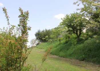 Terreno - Rustico Frazione Piticchio, Arcevia - foto 37