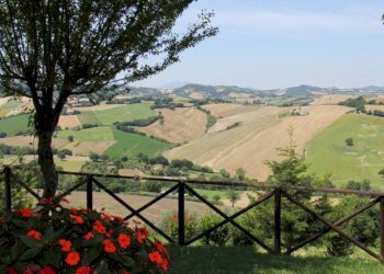 Vista - Rustico Frazione Piticchio, Arcevia - foto 47