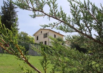 Giardino - Rustico Frazione Piticchio, Arcevia - foto 9