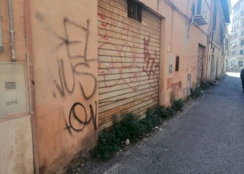 Zona - Negozio via Casilina, 497, Roma - foto 8