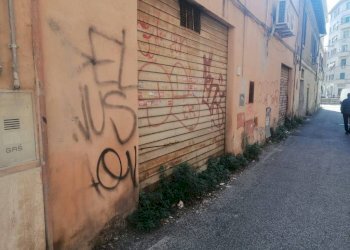 Zona - Negozio via Casilina, 497, Roma - foto 9
