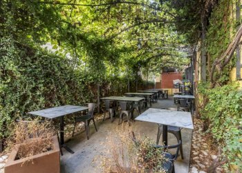 Giardino - Negozio via Alessandro Volta, 36, Roma - foto 9