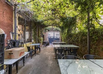 Giardino - Negozio via Alessandro Volta, 36, Roma - foto 10