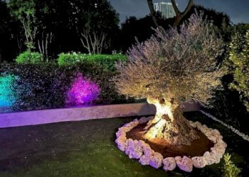 Giardino - Appartamento via Copenaghen, 39, Roma (zona Torrino) - foto 35