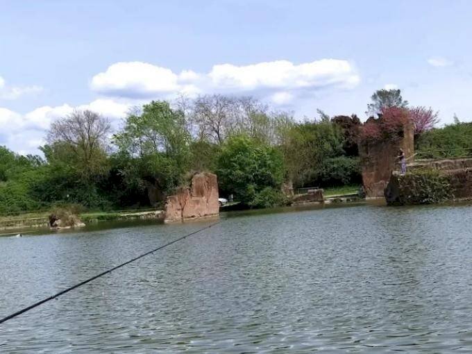 Terreno agricolo via di Tor Cervara, 65, Roma - foto 3