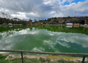 Vista - Terreno agricolo via di Tor Cervara, 65, Roma - foto 5