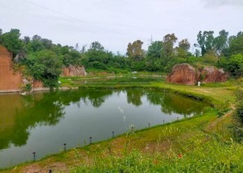 Zona - Terreno agricolo via di Tor Cervara, 65, Roma - foto 7