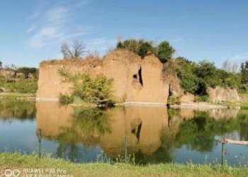 Terreno agricolo via di Tor Cervara, 65, Roma - foto 2