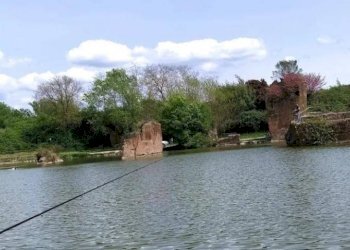 Terreno agricolo via di Tor Cervara, 65, Roma - foto 3