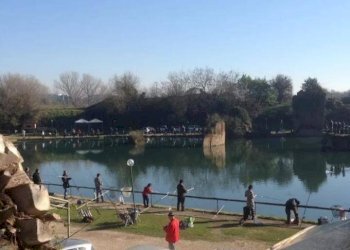 Terreno agricolo via di Tor Cervara, 65, Roma - foto 4