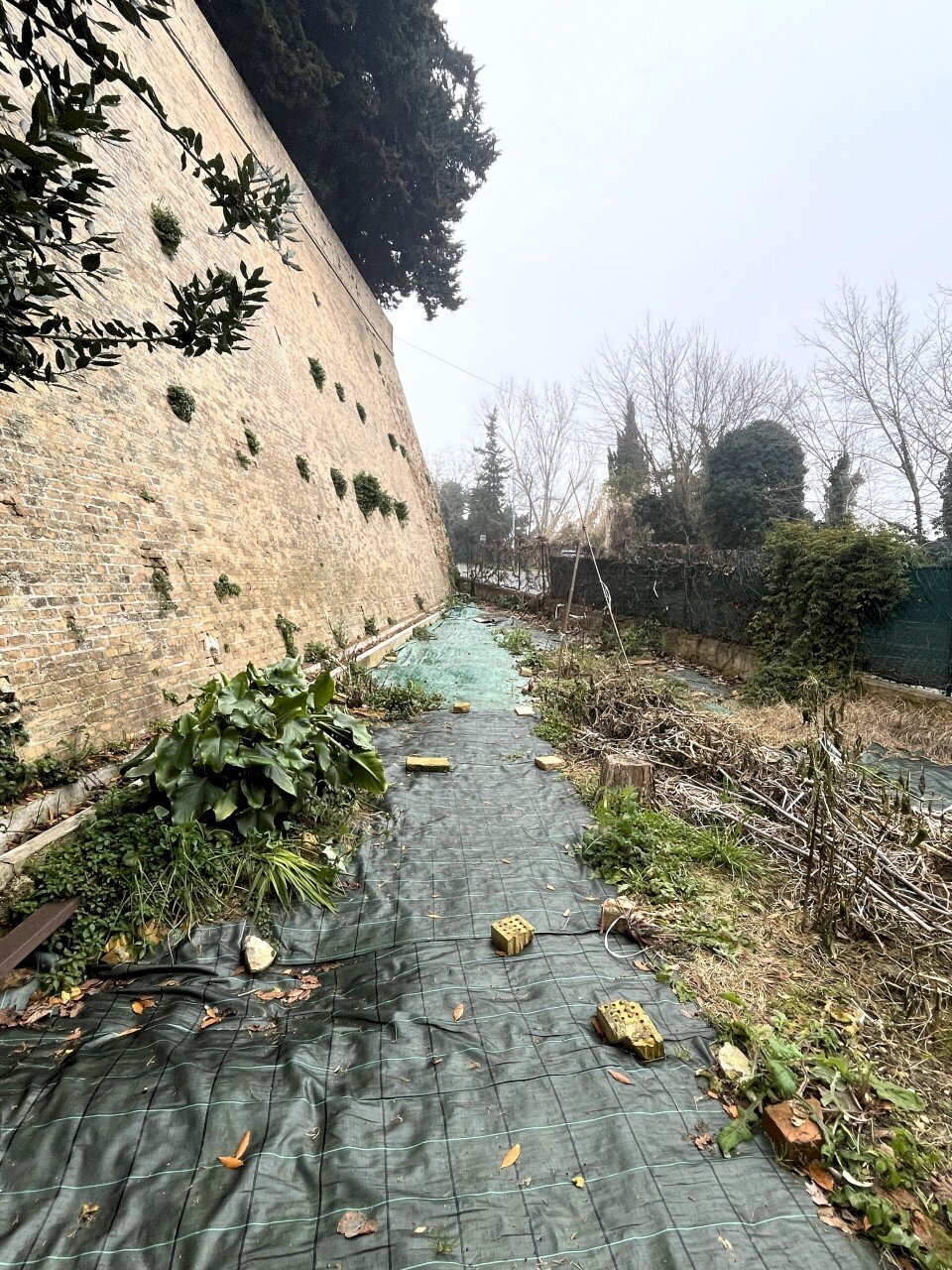 Villa a Schiera Trecastelli - foto 3