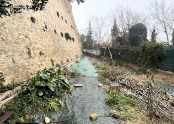 Villa a Schiera Trecastelli - foto 3