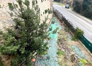 Villa a Schiera Trecastelli - foto 23