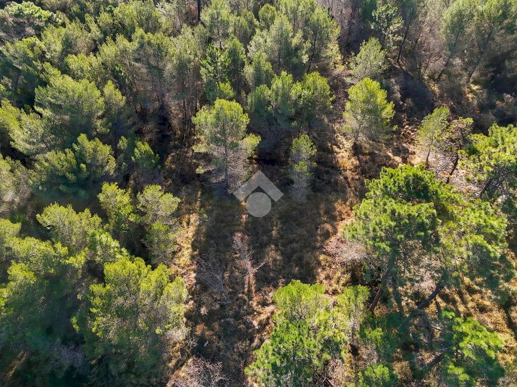 Terreno edificabile Strada Comunale del Piano, Cipressa - foto 3