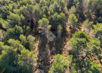 Terreno edificabile Strada Comunale del Piano, Cipressa - foto 3