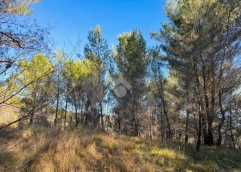 Terreno edificabile Strada Comunale del Piano, Cipressa - foto 6