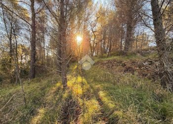 Terreno edificabile Strada Comunale del Piano, Cipressa - foto 17