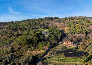 Terreno edificabile Strada Comunale del Piano, Cipressa - foto 19