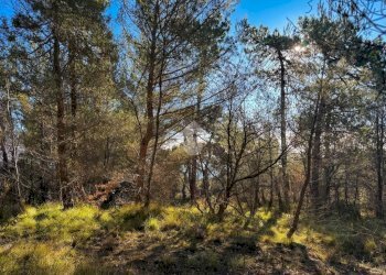 Terreno edificabile Strada Comunale del Piano, Cipressa - foto 20