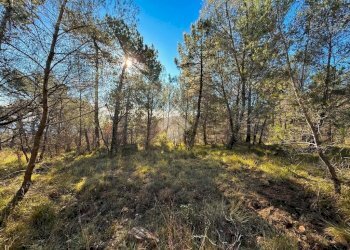 Terreno edificabile Strada Comunale del Piano, Cipressa - foto 21