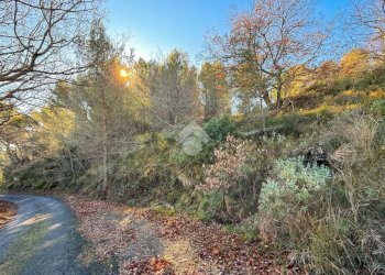 Terreno edificabile Strada Comunale del Piano, Cipressa - foto 22