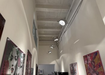 Locale Commerciale Bologna (zona Malpighi) - foto 5