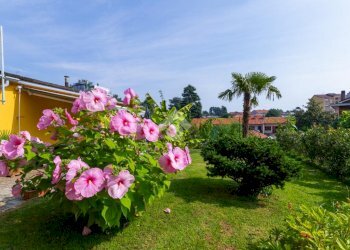 Porzione di casa Via ulzio, Rivoli - foto 31