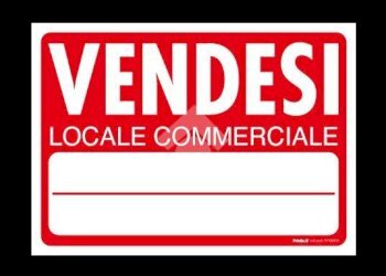 Negozio Piazza Della Repubblica, Castelfranco Emilia - foto 16