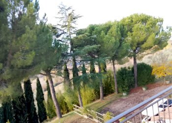 Foto 4 - Rustic Montespertoli - photo 4