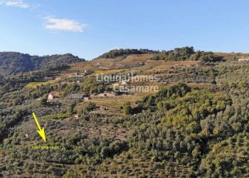 Foto 7 - Terreno edificabile Via Tornatore, Dolceacqua - foto 7