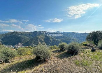 Foto 8 - Terreno edificabile Via Tornatore, Dolceacqua - foto 8