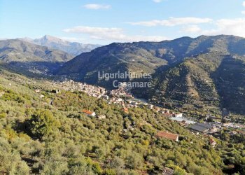 Foto 10 - Terreno edificabile Via Tornatore, Dolceacqua - foto 10